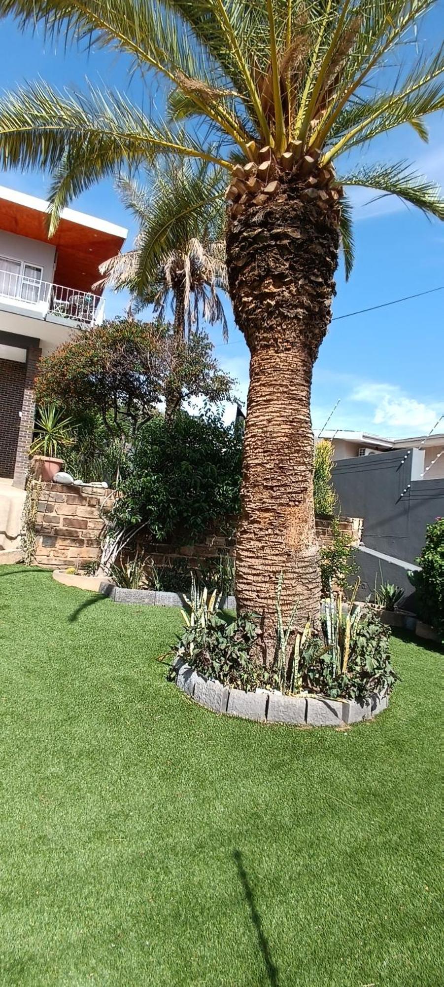Sapphirea@54 Apartment Windhoek Bagian luar foto