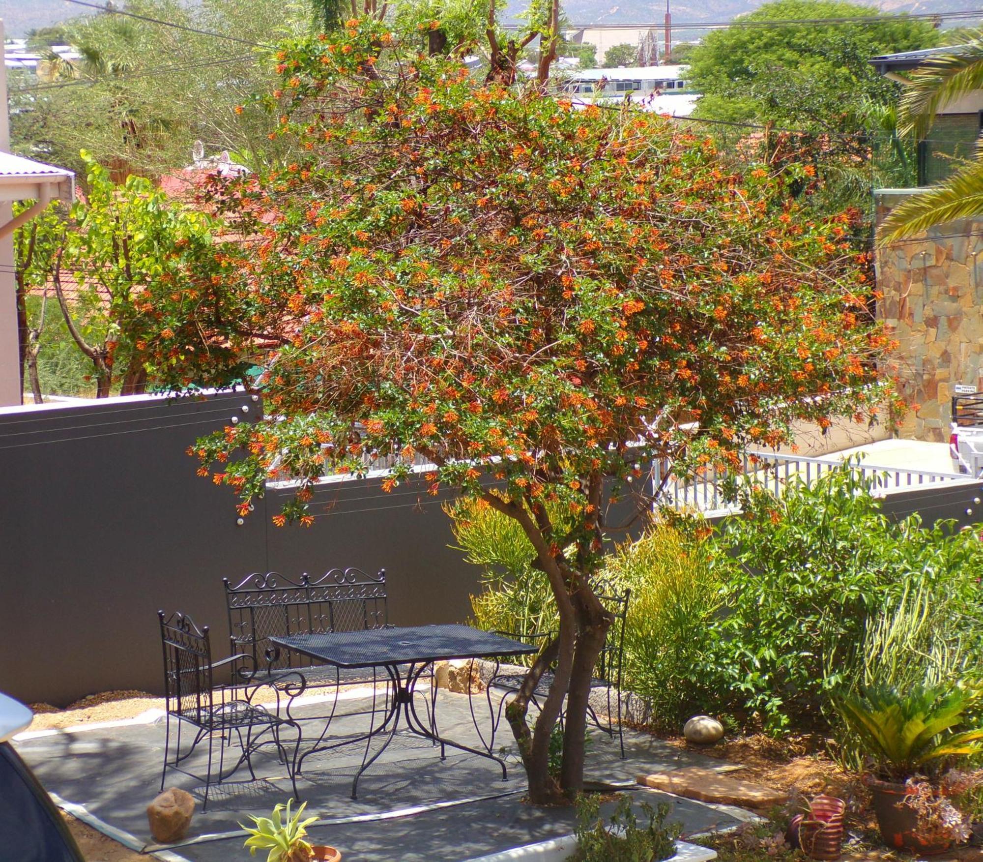 Sapphirea@54 Apartment Windhoek Bagian luar foto
